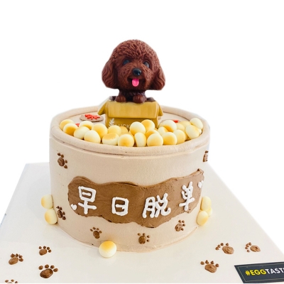 单身狗的生日蛋糕